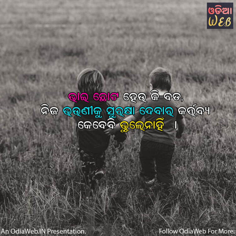 Odia Brother & Sister Quotes1