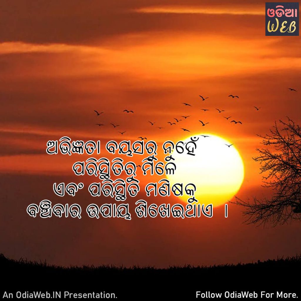 Odia Experience Quotes1