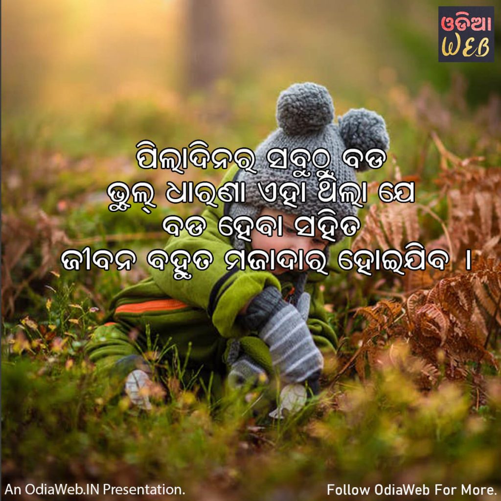 Odia Misunderstanding Quotes1