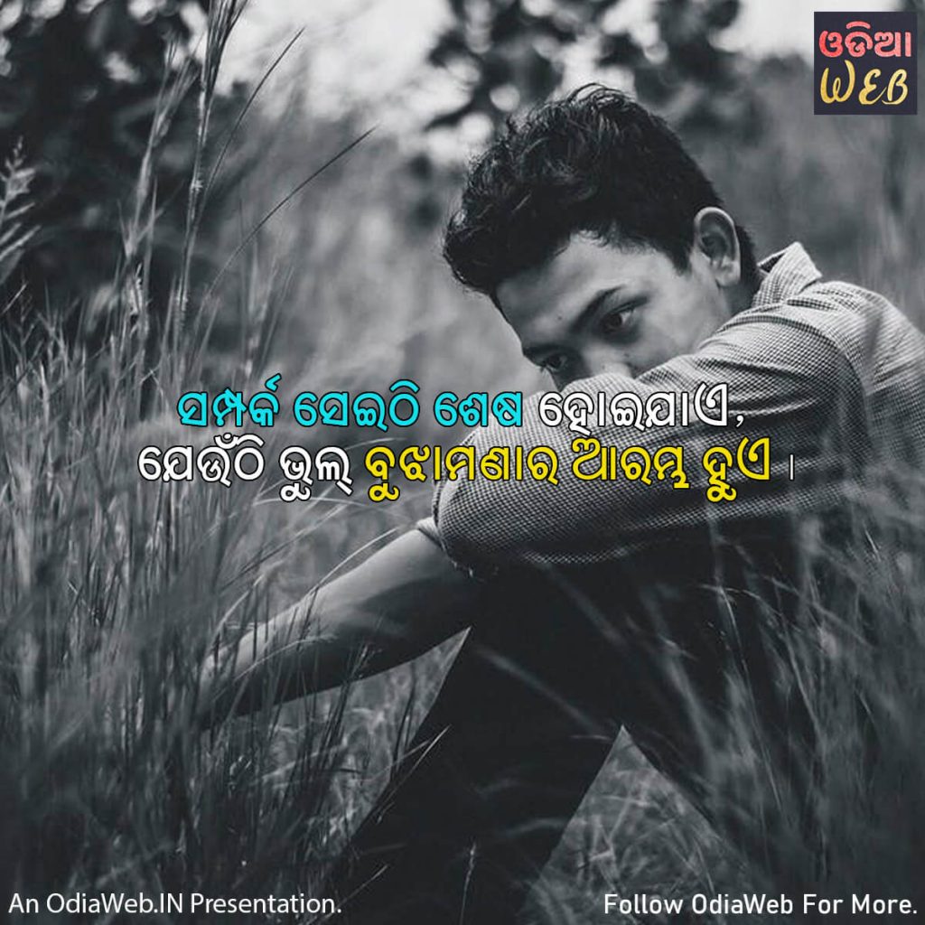 Odia Misunderstanding Quotes4