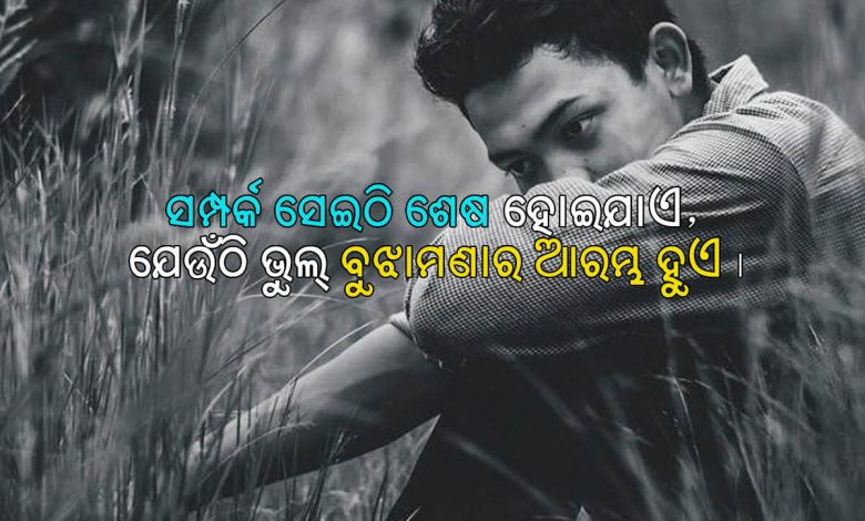 Odia Misunderstanding Quotes4