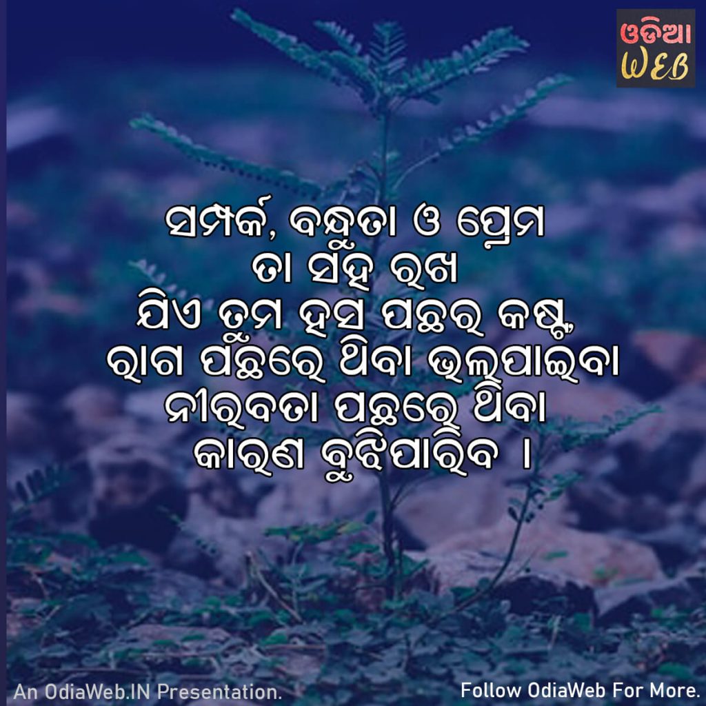 Odia Relationship Quotes 4