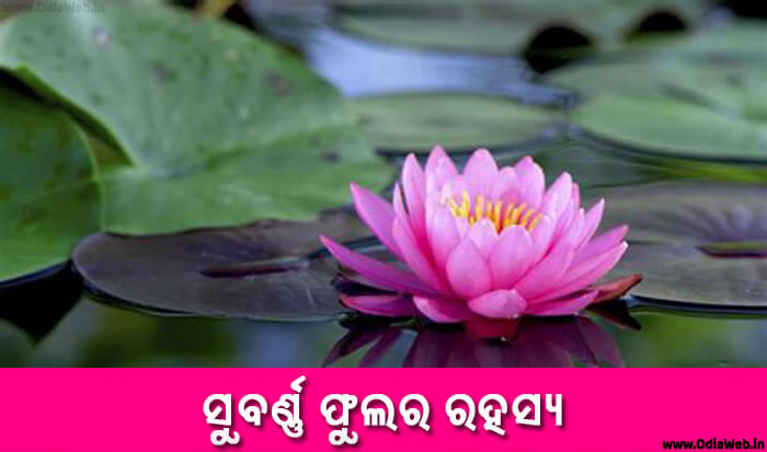 Odia Short Story Subarna Phulara Rahashya