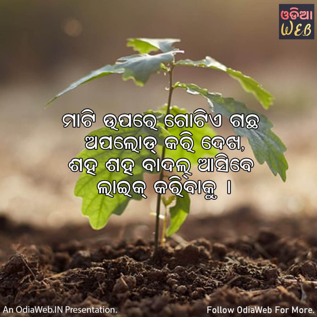 Odia Social Awareness Quotes4