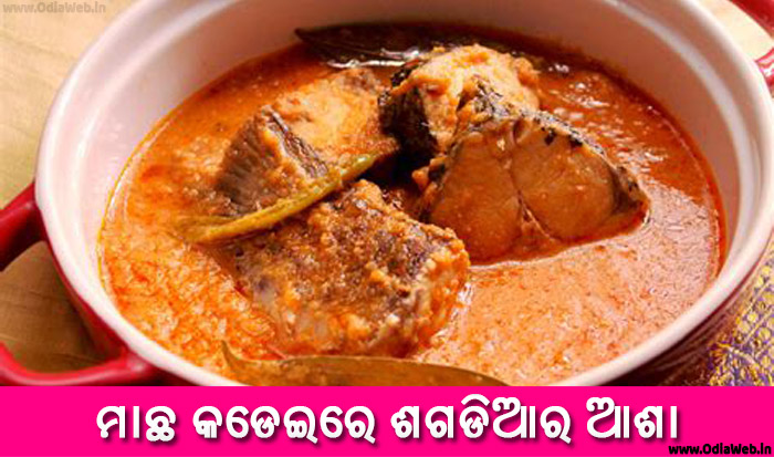 Odia Short Story Machha Kadeire Sagadiara Asha