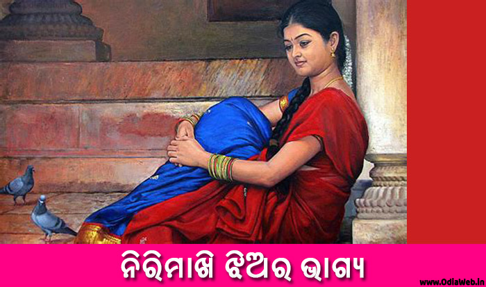 Odia Short Story Nirimakhi Jhiara Bhagya
