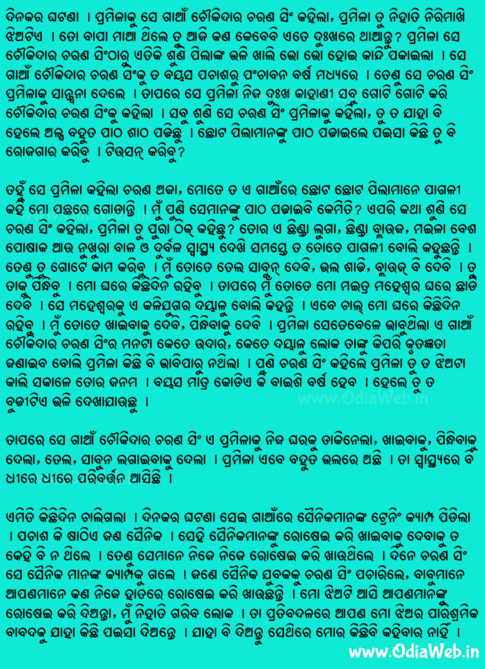 Odia Short Story Nirimakhi Jhiara Bhagya2