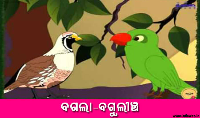 Odia Short Story Bagala Bagulincha