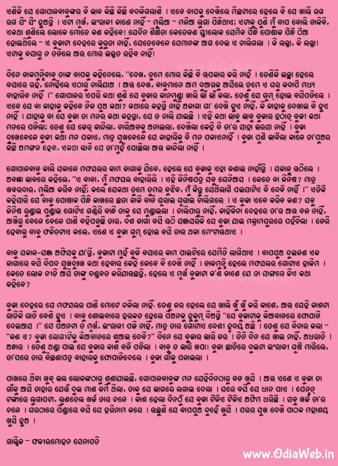 Odia Short Story Dakamunshi3