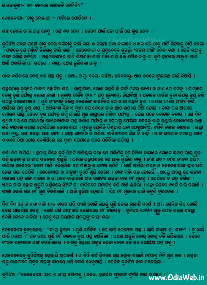 Odia Short Story Srustira Ananda2