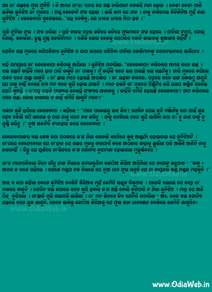 Odia Short Story Srustira Ananda3