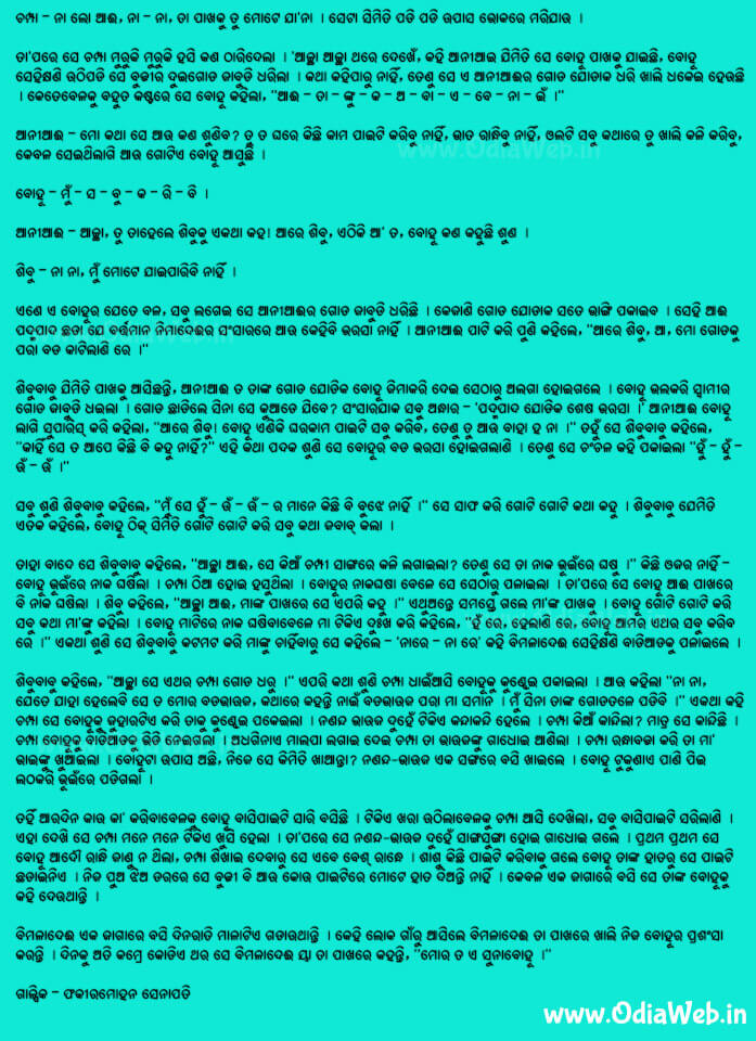 Odia Short Story Sunabohu6