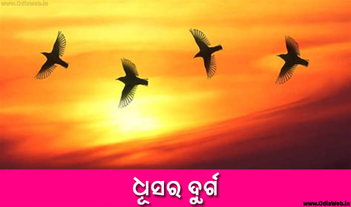 Odia Short Story Dhoosara Durga