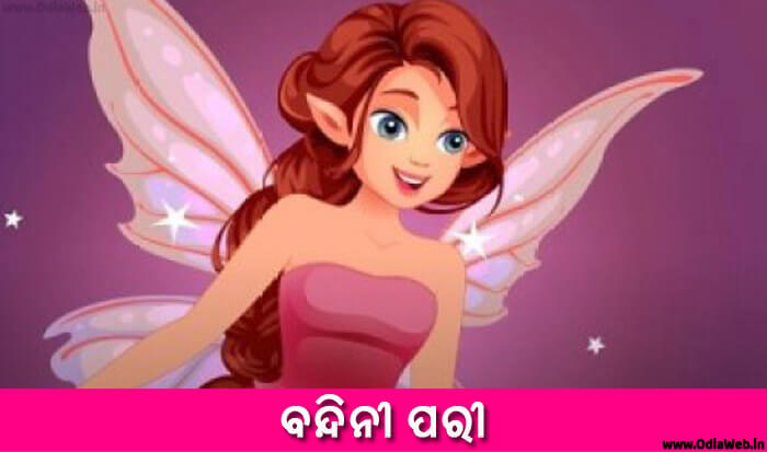 Odia Short Story Bandini Pari