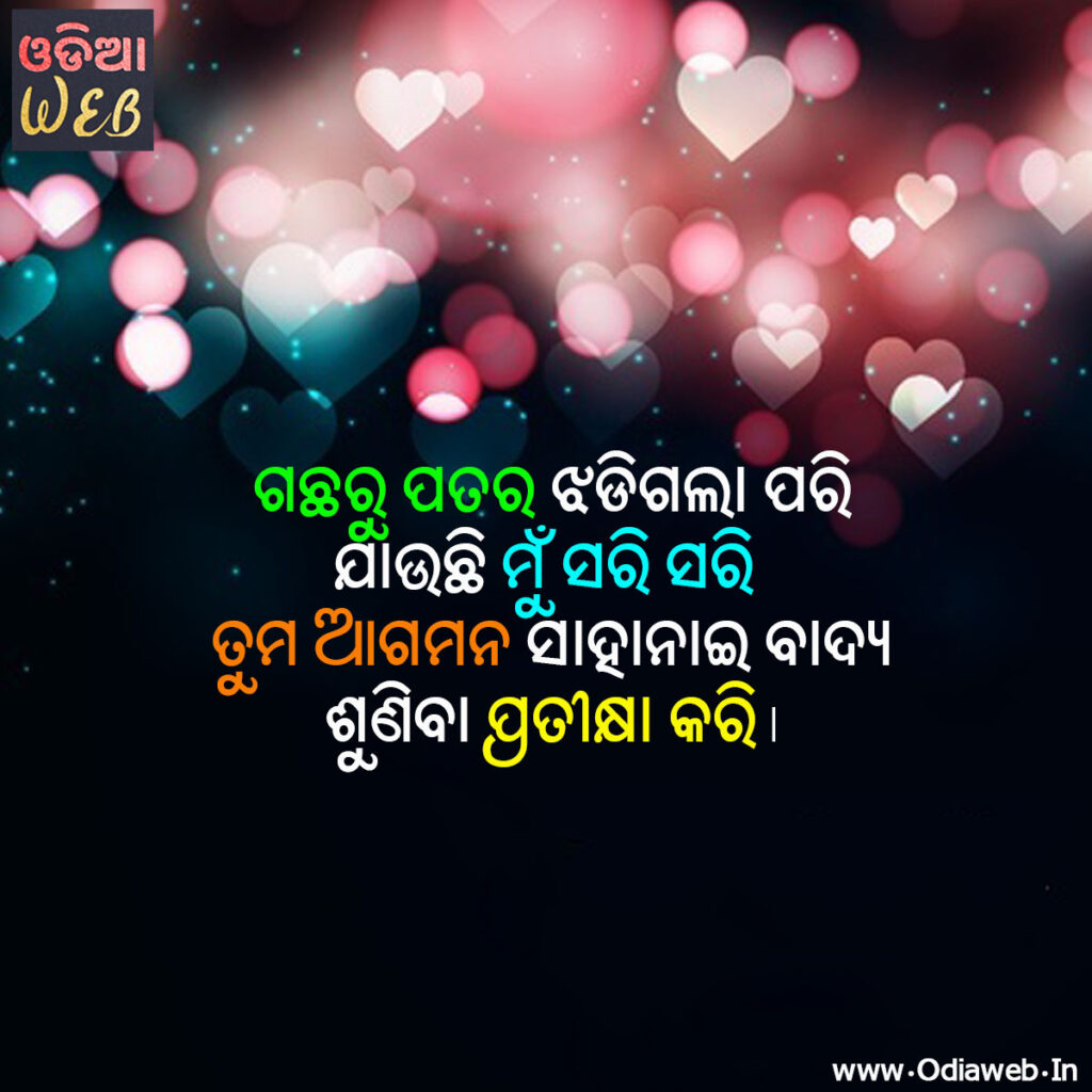 Odia Love SMS