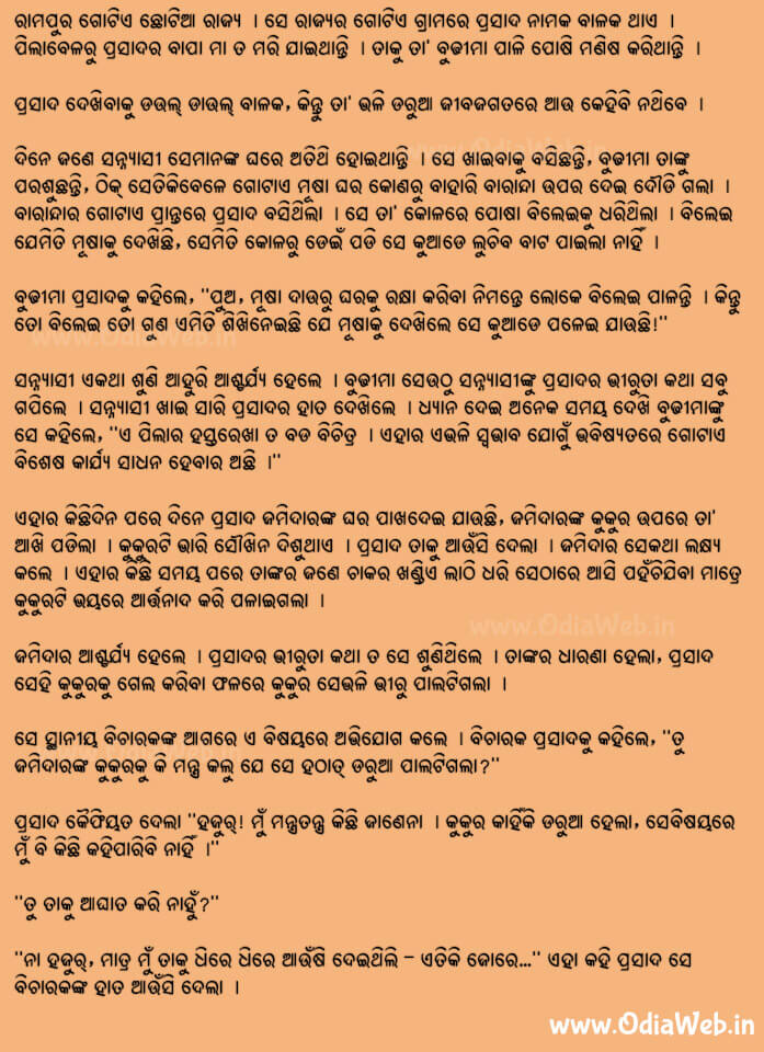 Odia Short Story Bhirura Bhumika1