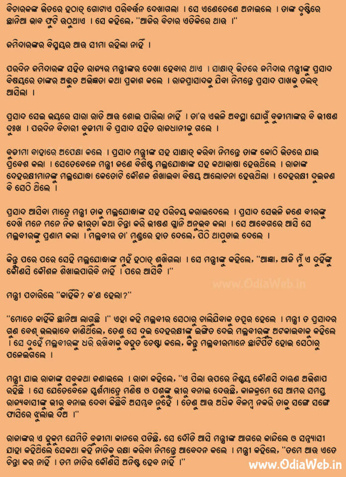 Odia Short Story Bhirura Bhumika2