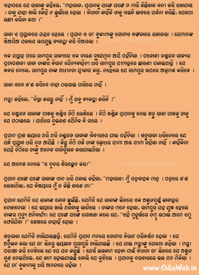 Odia Short Story Bhirura Bhumika3