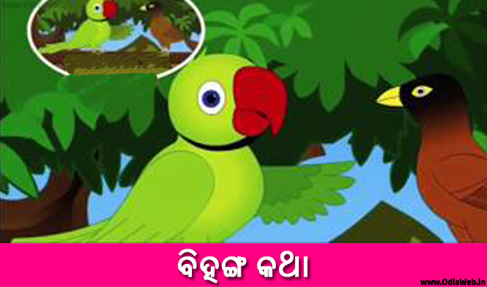 Odia Short Story Bihanga Katha