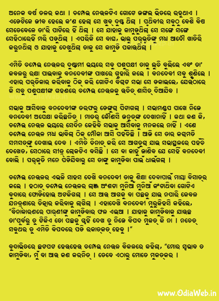 Odia Short Story Champei Neula Kamude Nahi