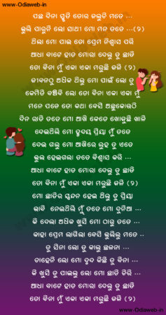 Adha bate hata mora delu tu chhadi