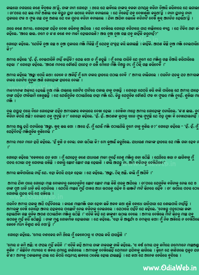 Odia Short Story Macha Phasala