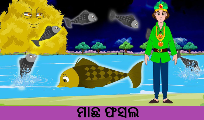 Odia Short Story Macha Phasala