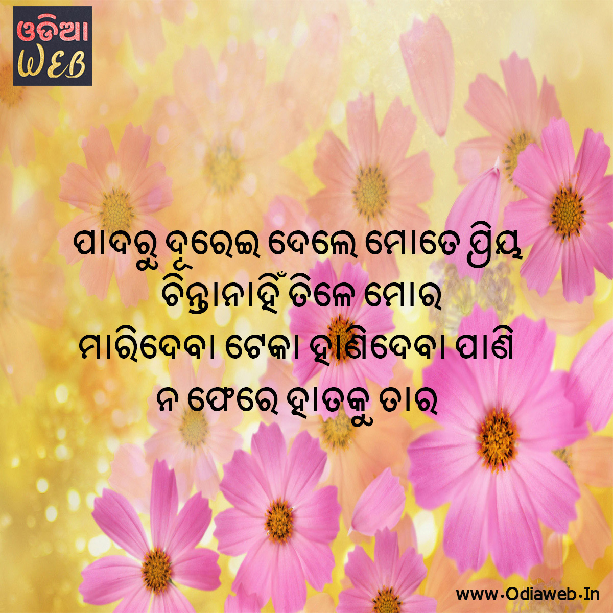 Odia SMS