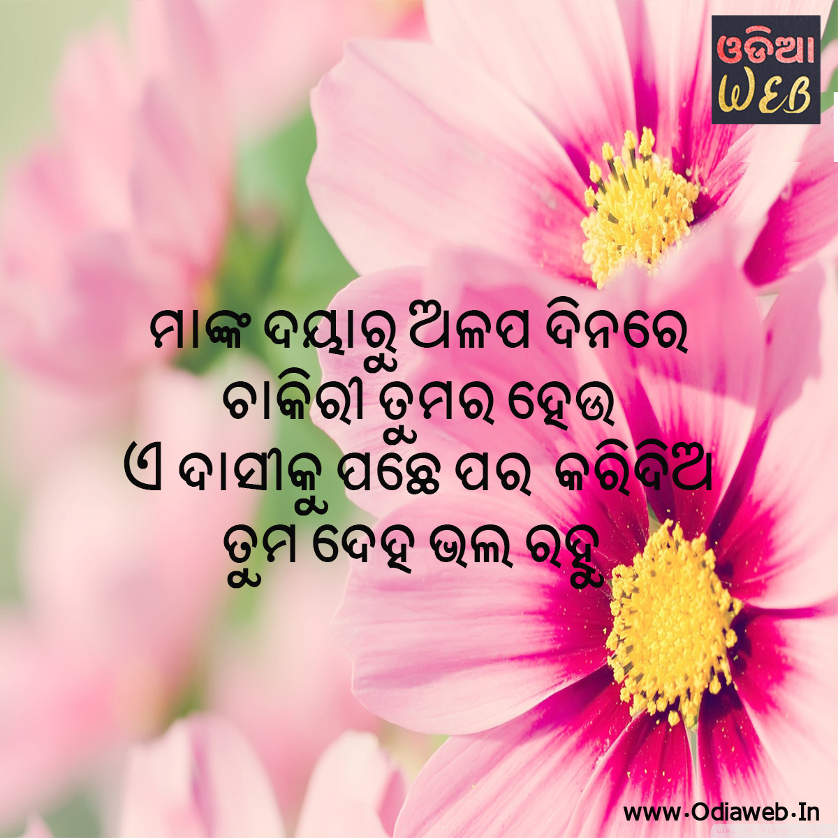 Odia SMS