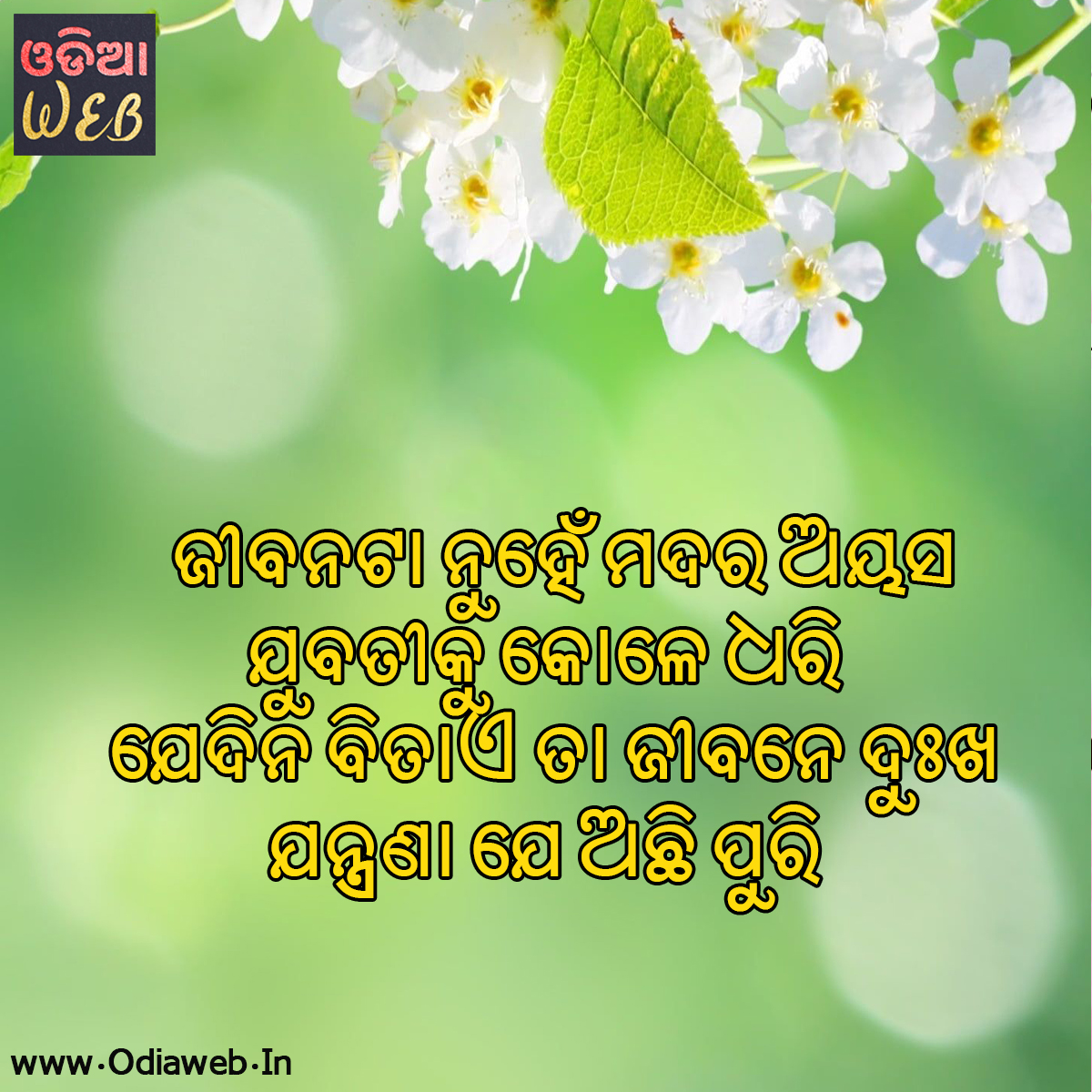 odia sms