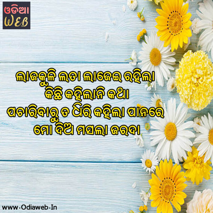 odia sms odia sms