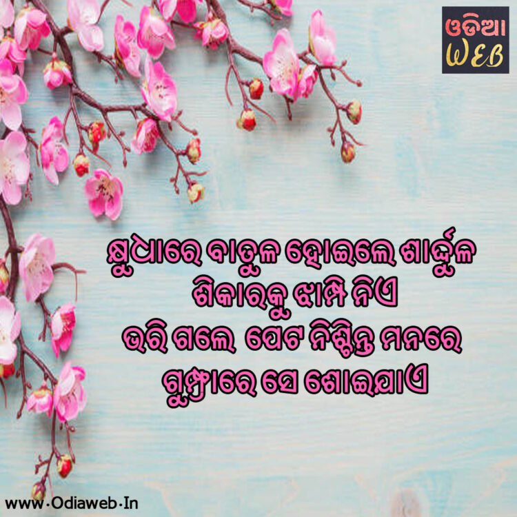 odia sms odia sms