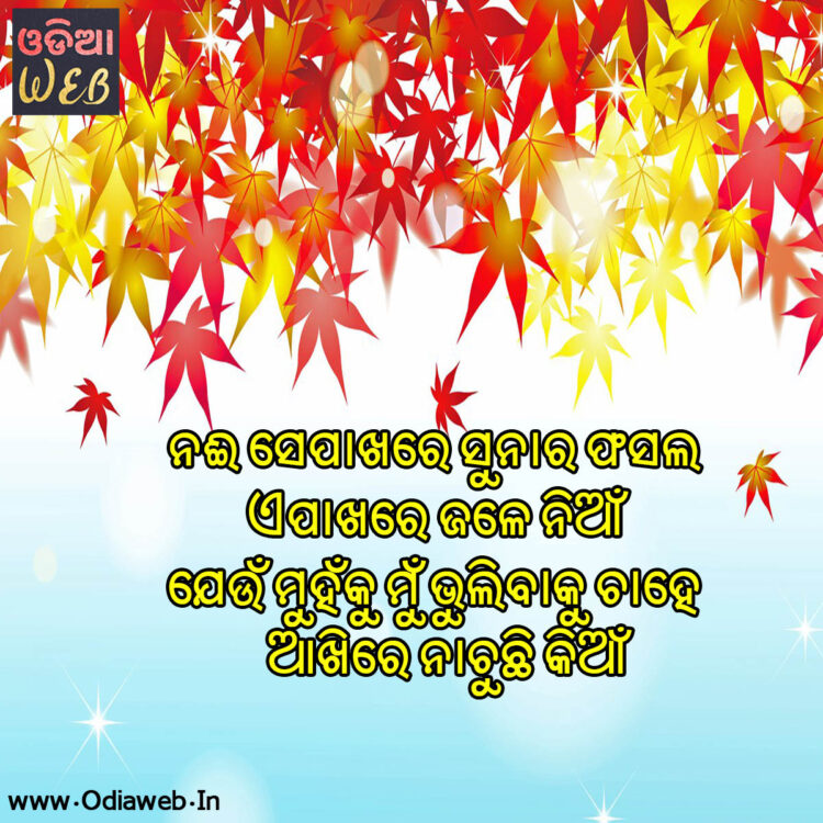 odia sms odia sms