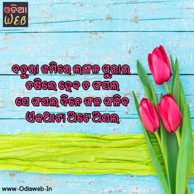 odia sms odia sms