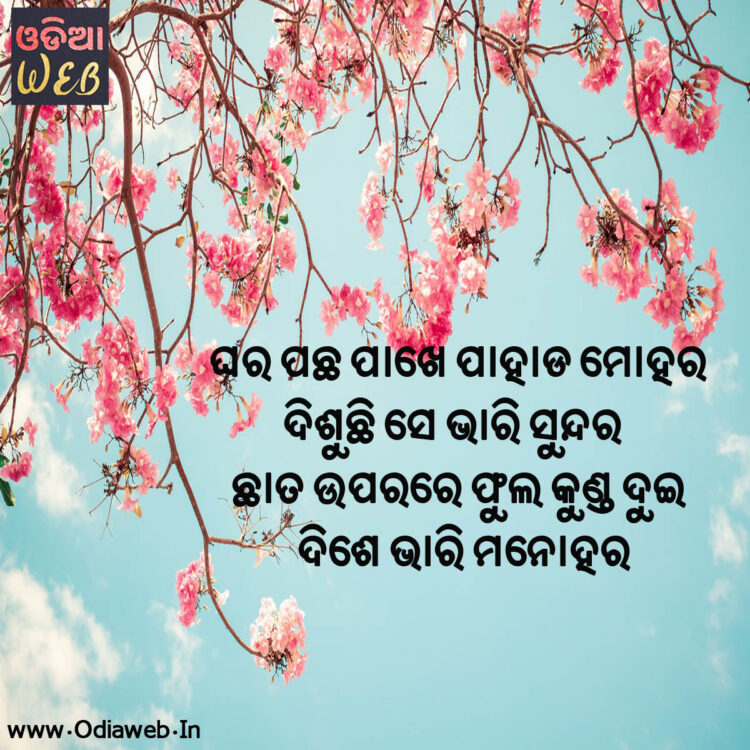 odia sms odia sms
