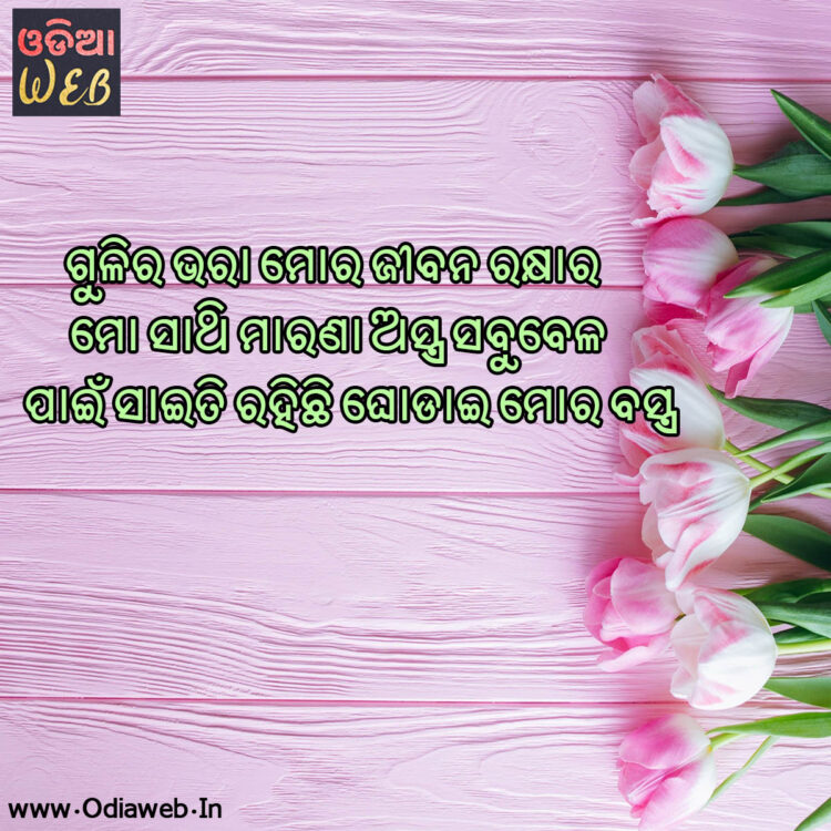 odia sms odia sms