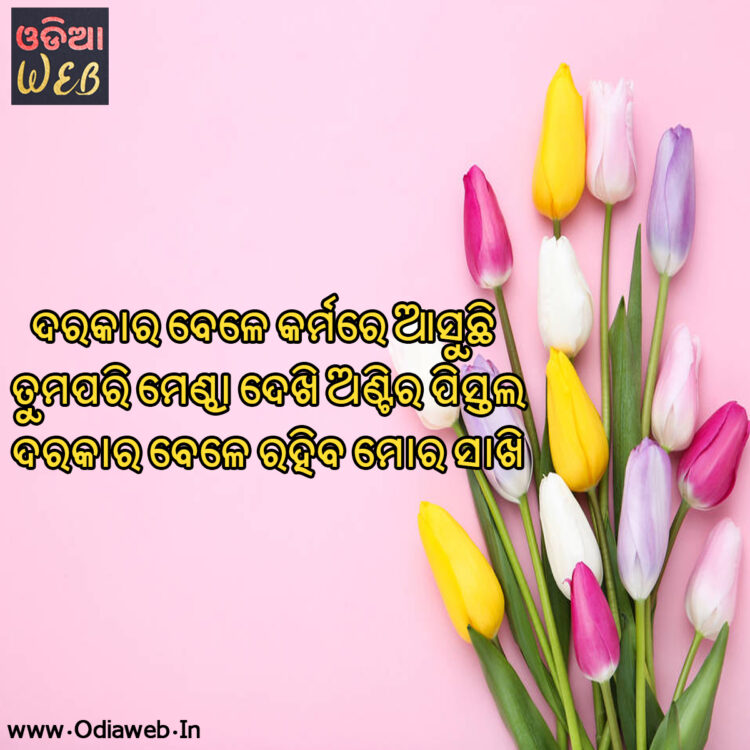 odia sms odia sms
