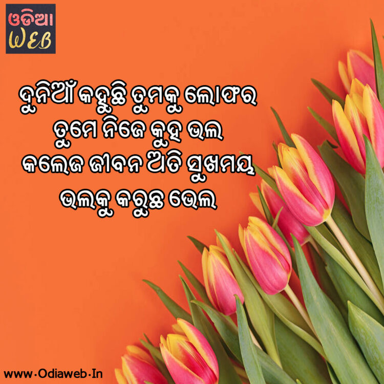 odia sms odia sms