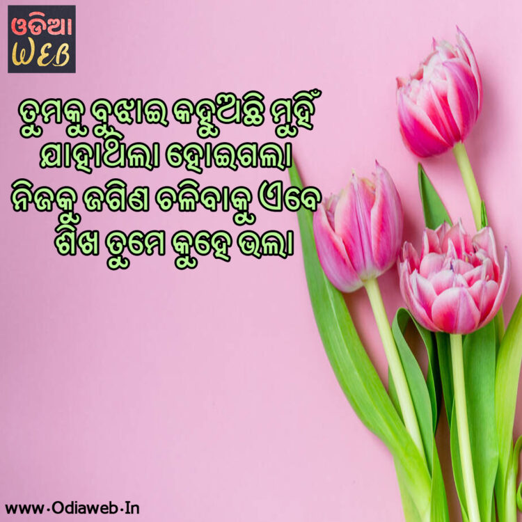 odia sms odia sms