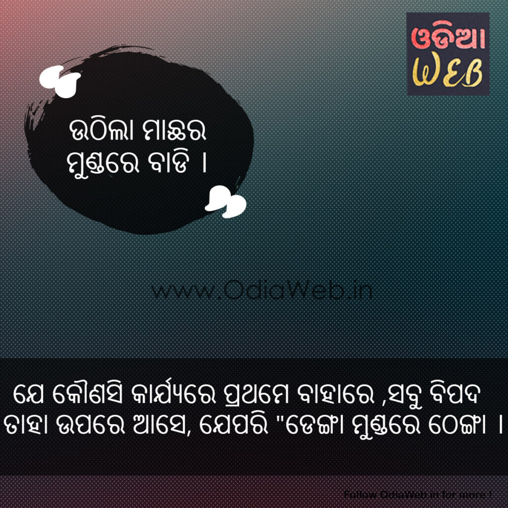 Odia Pahel UTHiLA MACHHARA MUNDARE BADi