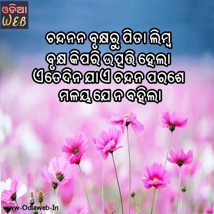 Odia sms Odia sms