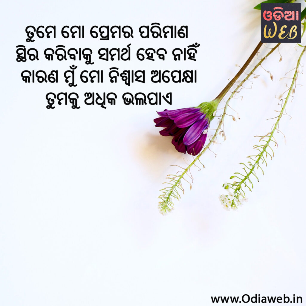 ODia love Sms