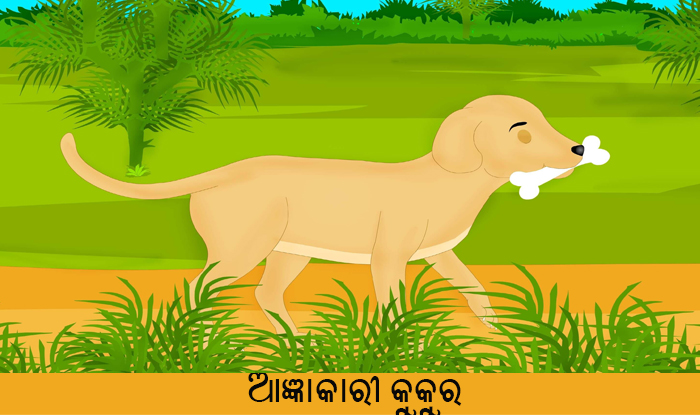 Odia Short Story Agyankari Kukura