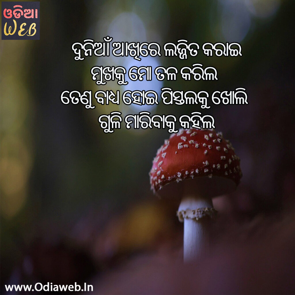 lovely odia sms