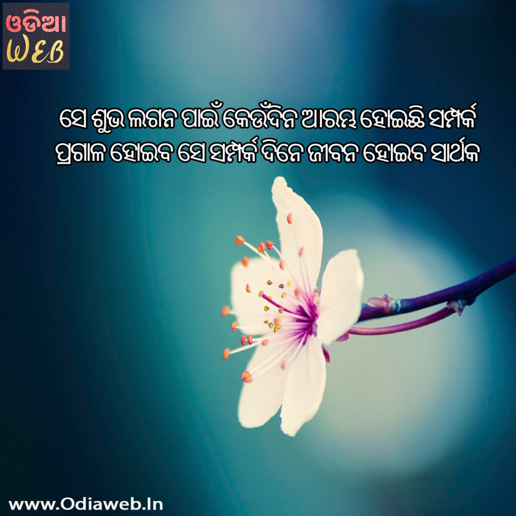 new Odia Sms