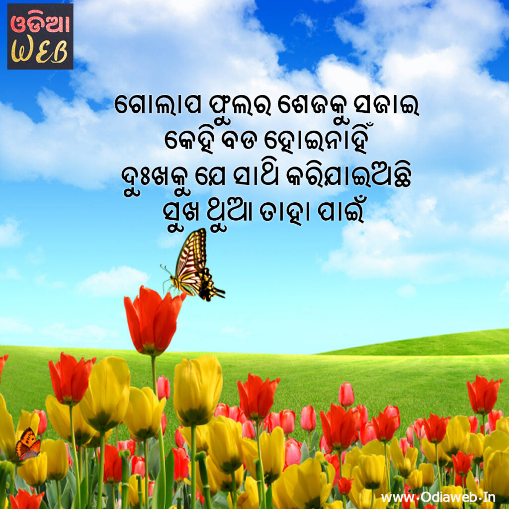 New odia sms