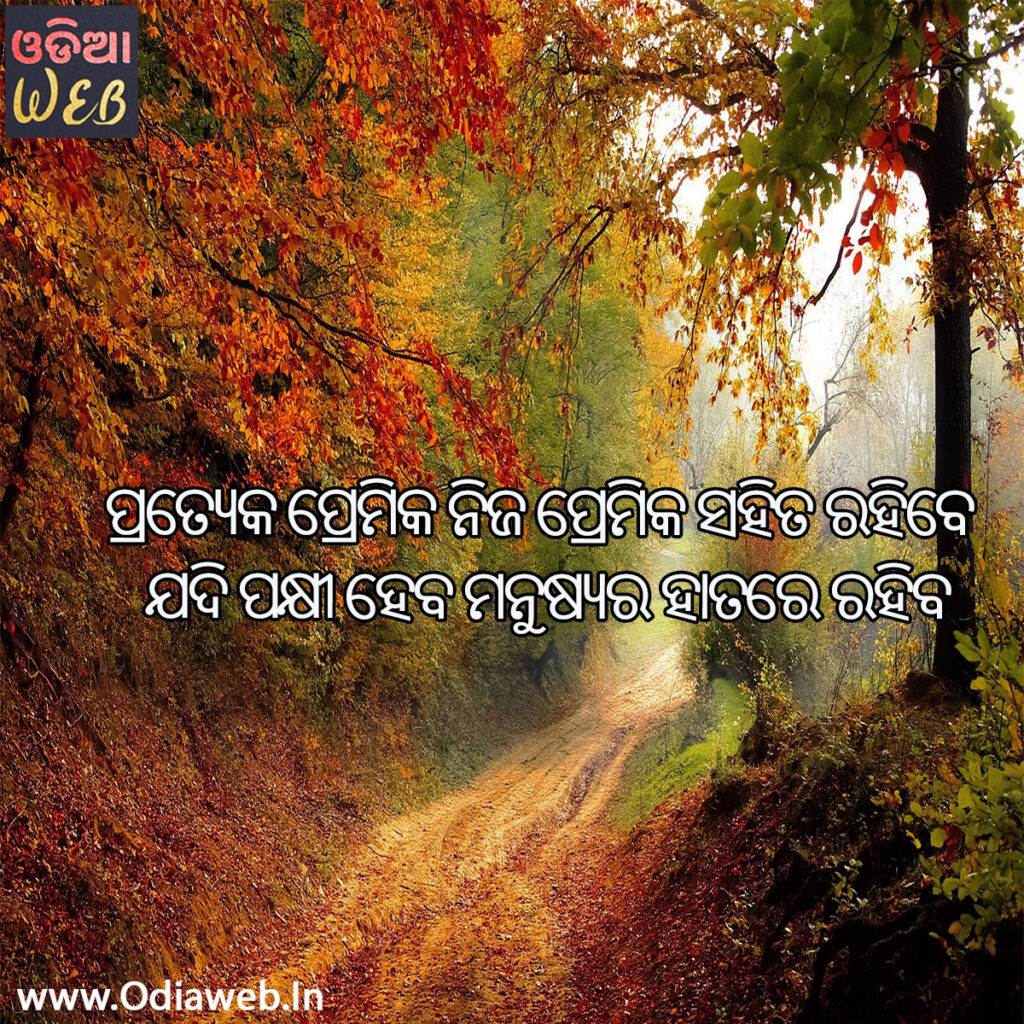 odia sms for your love