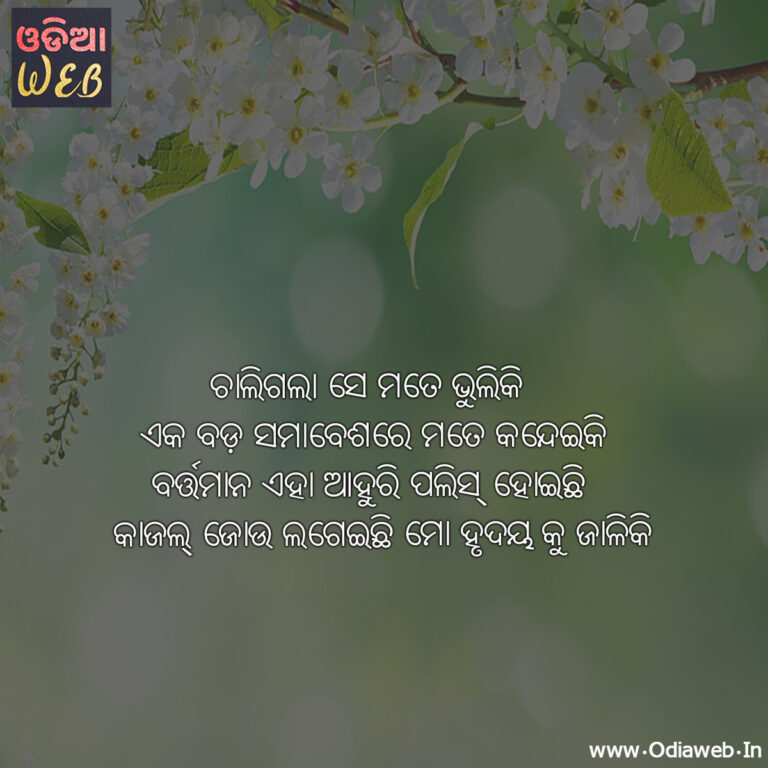 New Odia Sad Sms For Lovers Chaligala Se Mate Bhuliki Top-5 Best Sad Sms
