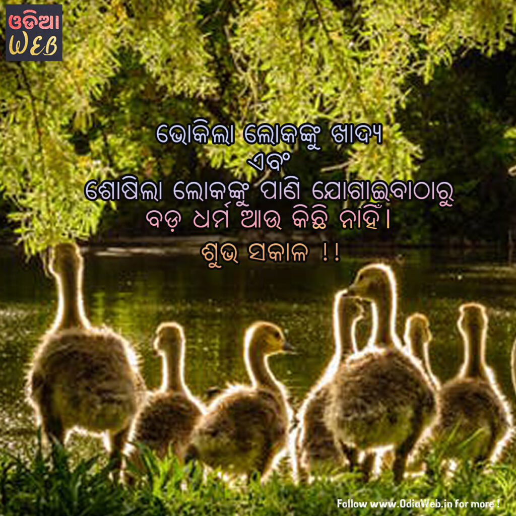 Odia Good morning Sms By Odiaweb