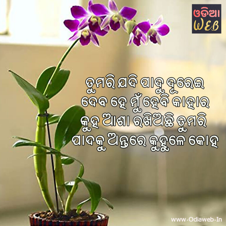 New Odia Sms For Lovers Tumari Jadi Padu Durei Odia sms